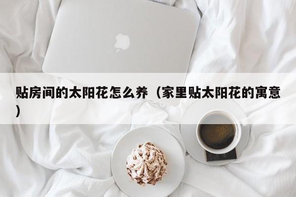 贴房间的太阳花怎么养（家里贴太阳花的寓意）