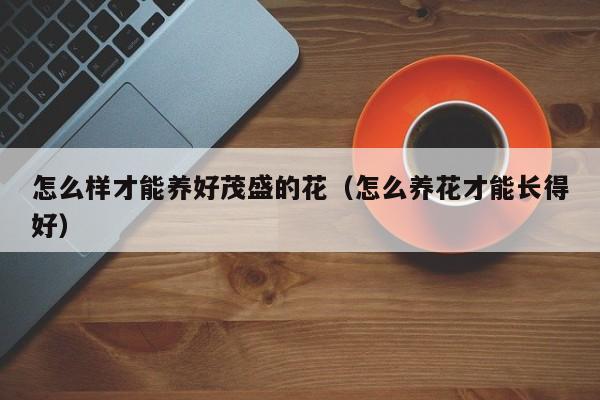 怎么样才能养好茂盛的花（怎么养花才能长得好）