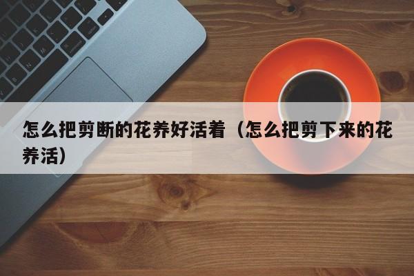 怎么把剪断的花养好活着（怎么把剪下来的花养活）