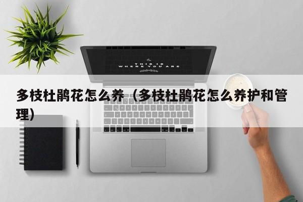 多枝杜鹃花怎么养（多枝杜鹃花怎么养护和管理）