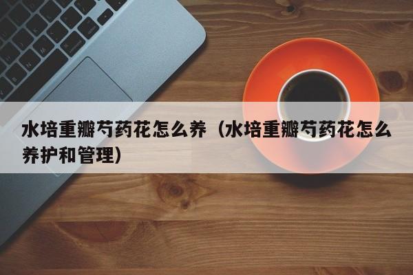 水培重瓣芍药花怎么养（水培重瓣芍药花怎么养护和管理）