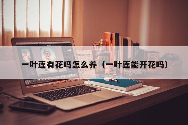 一叶莲有花吗怎么养（一叶莲能开花吗）