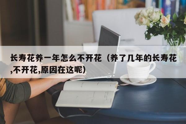长寿花养一年怎么不开花（养了几年的长寿花,不开花,原因在这呢）