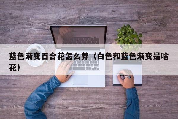 蓝色渐变百合花怎么养（白色和蓝色渐变是啥花）