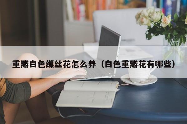 重瓣白色缫丝花怎么养（白色重瓣花有哪些）