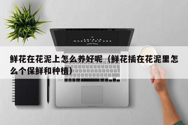 鲜花在花泥上怎么养好呢（鲜花插在花泥里怎么个保鲜和种植）