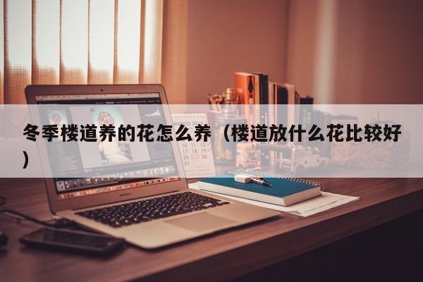 冬季楼道养的花怎么养（楼道放什么花比较好）