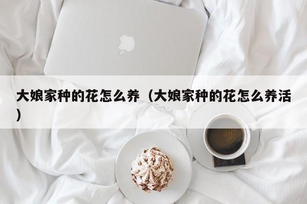 大娘家种的花怎么养（大娘家种的花怎么养活）