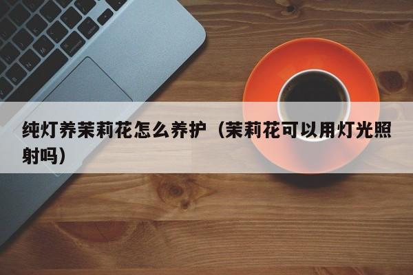 纯灯养茉莉花怎么养护（茉莉花可以用灯光照射吗）