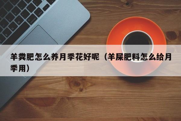 羊粪肥怎么养月季花好呢（羊屎肥料怎么给月季用）