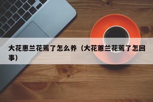 大花惠兰花蔫了怎么养（大花蕙兰花蔫了怎回事）