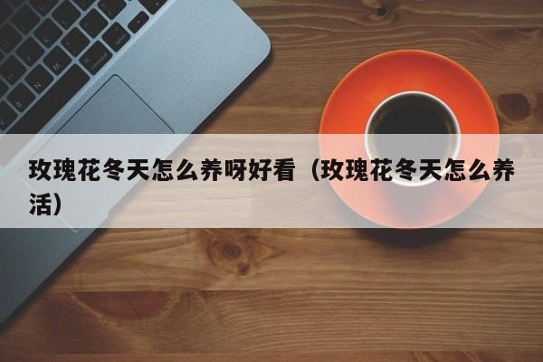 玫瑰花冬天怎么养呀好看（玫瑰花冬天怎么养活）
