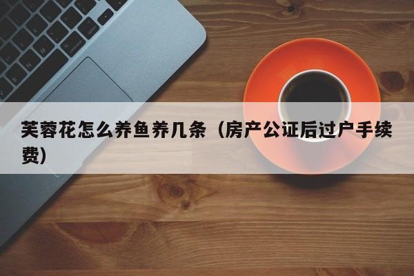芙蓉花怎么养鱼养几条（房产公证后过户手续费）