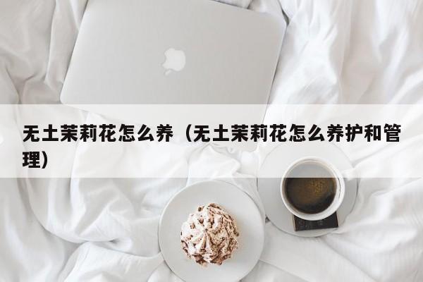 无土茉莉花怎么养（无土茉莉花怎么养护和管理）