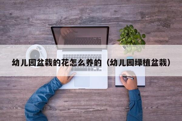 幼儿园盆栽的花怎么养的（幼儿园绿植盆栽）