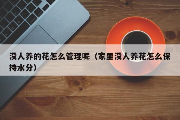 没人养的花怎么管理呢（家里没人养花怎么保持水分）