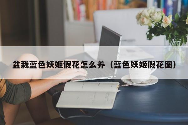 盆栽蓝色妖姬假花怎么养（蓝色妖姬假花图）