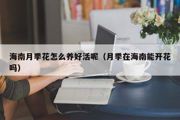海南月季花怎么养好活呢（月季在海南能开花吗）