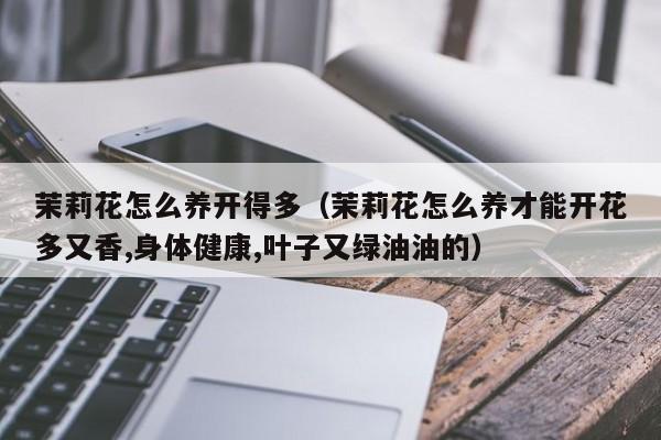 茉莉花怎么养开得多（茉莉花怎么养才能开花多又香,身体健康,叶子又绿油油的）