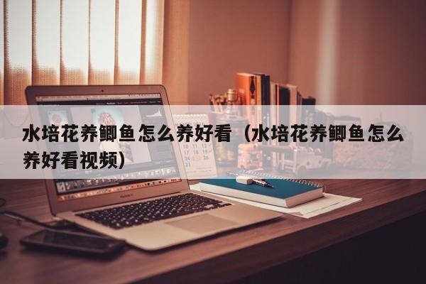水培花养鲫鱼怎么养好看（水培花养鲫鱼怎么养好看视频）