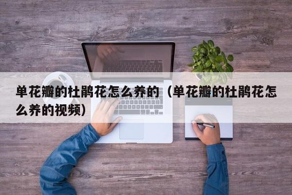 单花瓣的杜鹃花怎么养的（单花瓣的杜鹃花怎么养的视频）