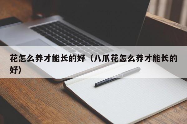 花怎么养才能长的好（八爪花怎么养才能长的好）
