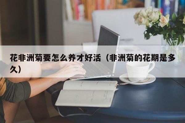 花非洲菊要怎么养才好活（非洲菊的花期是多久）