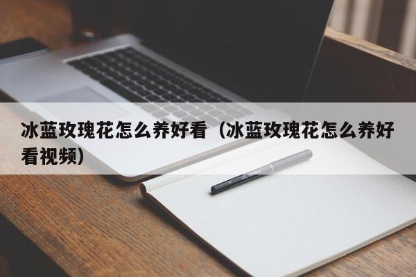 冰蓝玫瑰花怎么养好看（冰蓝玫瑰花怎么养好看视频）