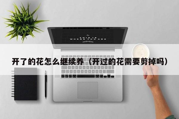 开了的花怎么继续养（开过的花需要剪掉吗）