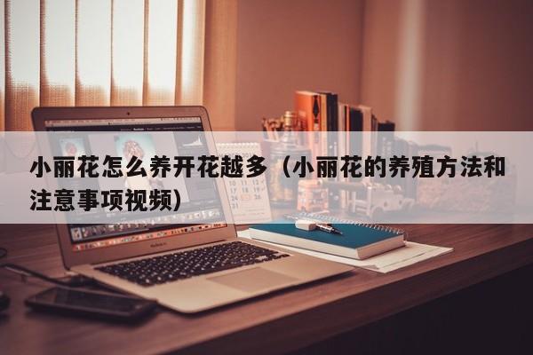 小丽花怎么养开花越多（小丽花的养殖方法和注意事项视频）