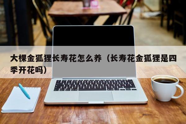 大棵金狐狸长寿花怎么养（长寿花金狐狸是四季开花吗）