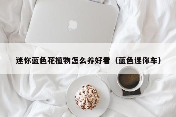 迷你蓝色花植物怎么养好看（蓝色迷你车）