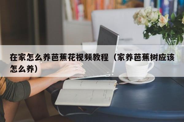 在家怎么养芭蕉花视频教程（家养芭蕉树应该怎么养）