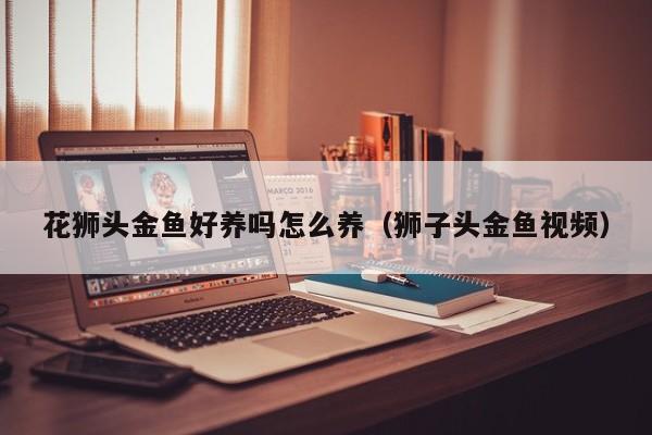 花狮头金鱼好养吗怎么养（狮子头金鱼视频）
