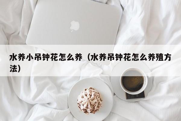 水养小吊钟花怎么养（水养吊钟花怎么养殖方法）