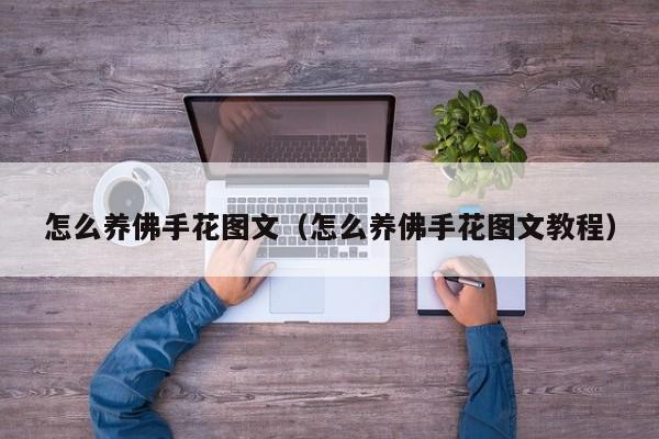 怎么养佛手花图文（怎么养佛手花图文教程）
