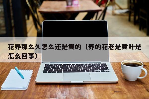 花养那么久怎么还是黄的（养的花老是黄叶是怎么回事）