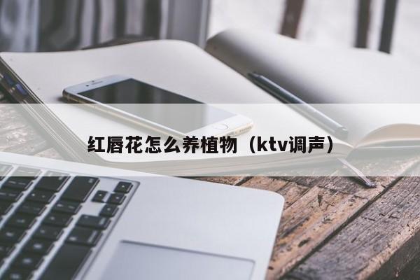 红唇花怎么养植物（ktv调声）