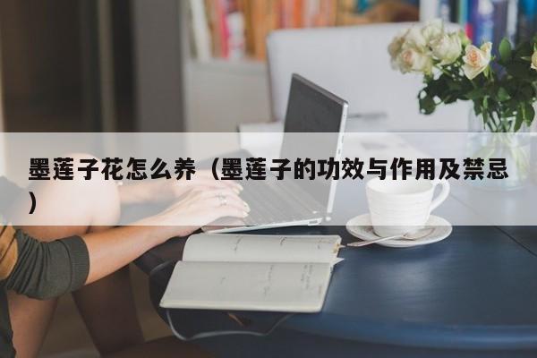 墨莲子花怎么养（墨莲子的功效与作用及禁忌）