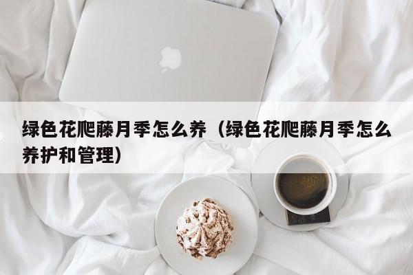绿色花爬藤月季怎么养（绿色花爬藤月季怎么养护和管理）