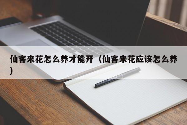 仙客来花怎么养才能开（仙客来花应该怎么养）