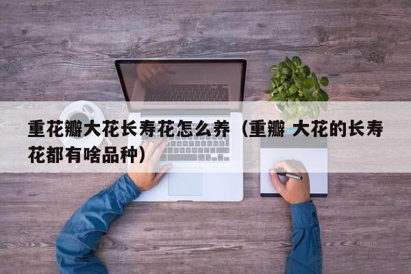 重花瓣大花长寿花怎么养（重瓣 大花的长寿花都有啥品种）