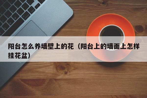 阳台怎么养墙壁上的花（阳台上的墙面上怎样挂花盆）