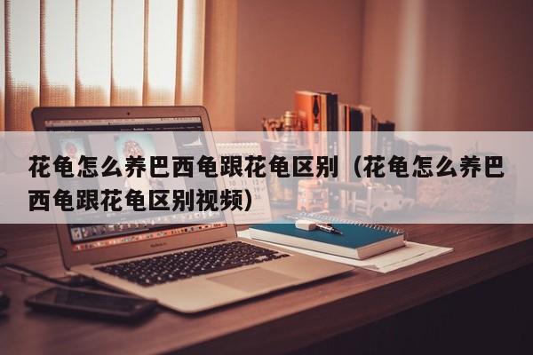 花龟怎么养巴西龟跟花龟区别（花龟怎么养巴西龟跟花龟区别视频）