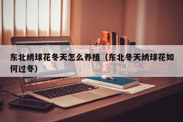 东北绣球花冬天怎么养植（东北冬天绣球花如何过冬）