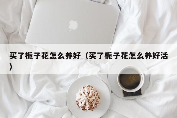 买了栀子花怎么养好（买了栀子花怎么养好活）