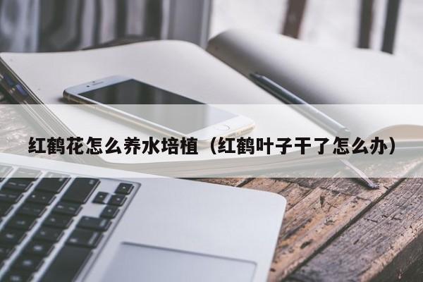 红鹤花怎么养水培植（红鹤叶子干了怎么办）