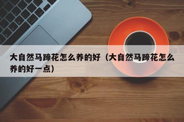 大自然马蹄花怎么养的好（大自然马蹄花怎么养的好一点）