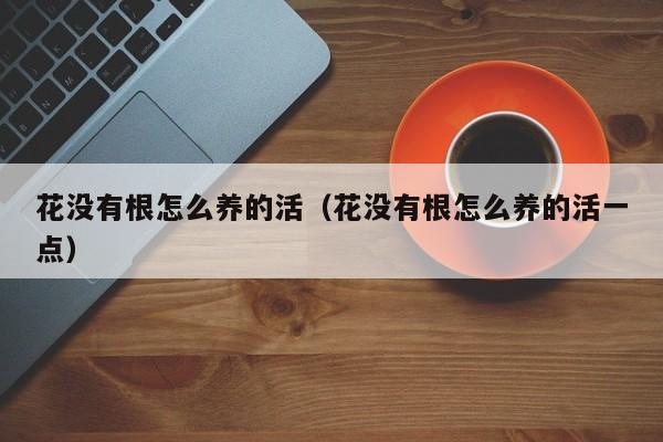 花没有根怎么养的活（花没有根怎么养的活一点）
