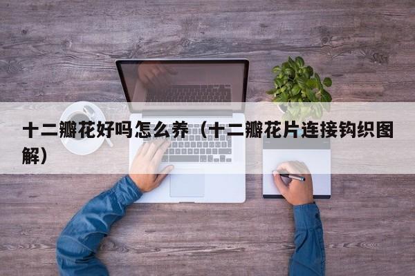 十二瓣花好吗怎么养（十二瓣花片连接钩织图解）